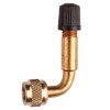 Bent Valve Extension for easy pump access- click for larger image